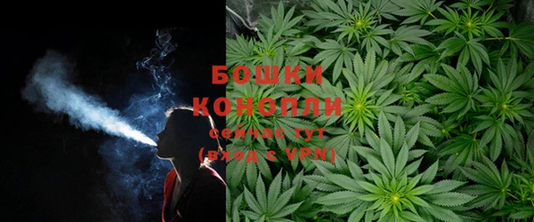 не бодяженный Пересвет