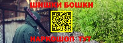 МДПВ Заводоуковск