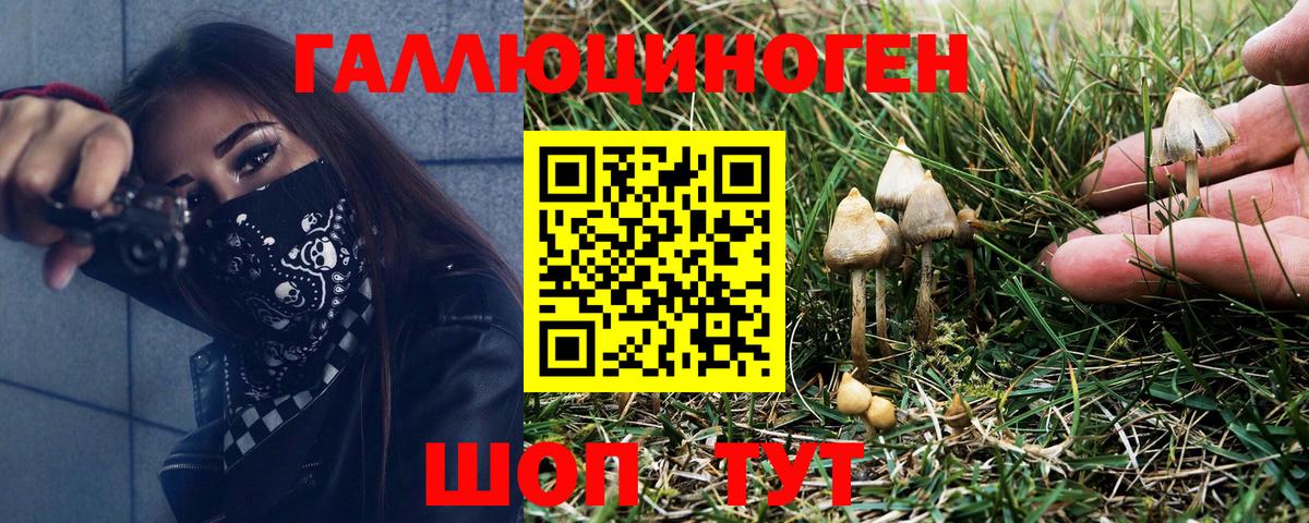 Старая Русса  Псилоцибиновые грибы мицелий  Вход с VPN 