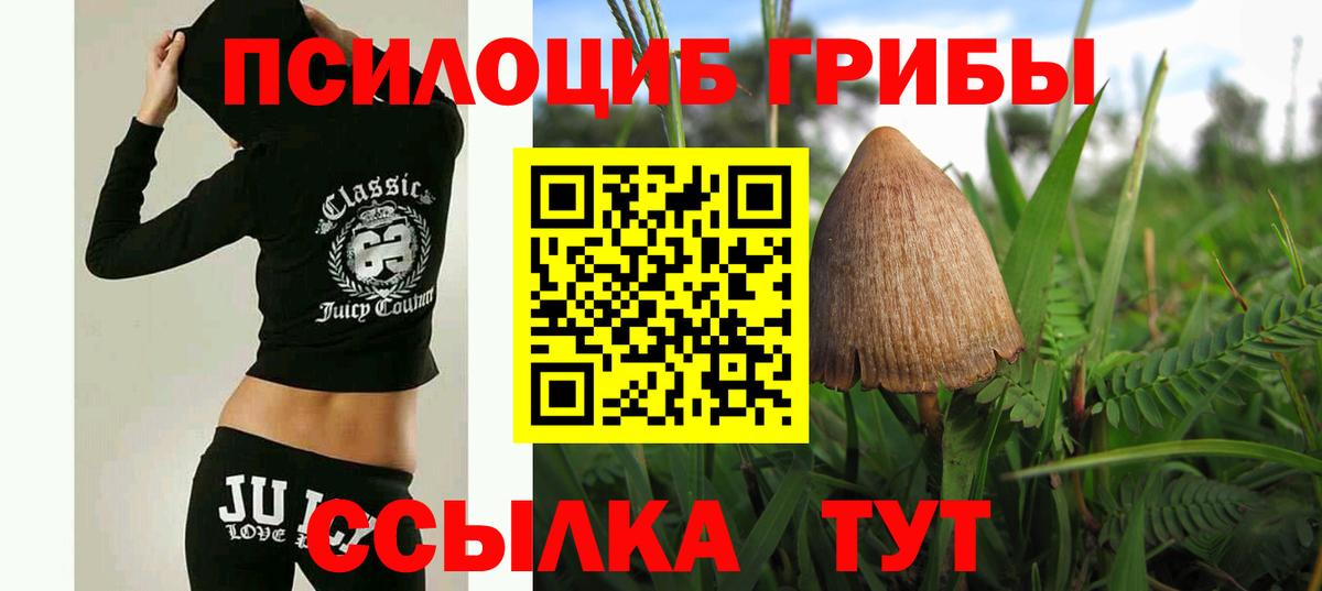 Псилоцибиновые грибы GOLDEN TEACHER  продажа наркотиков  Галлюциногенные грибы прущие грибы  Старая Русса 